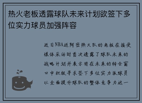 热火老板透露球队未来计划欲签下多位实力球员加强阵容
